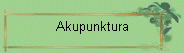 Akupunktura