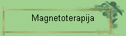 Magnetoterapija