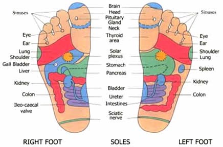 refleksotherapy chart
